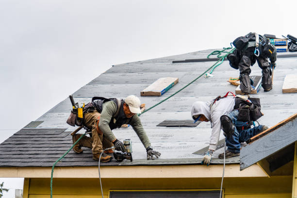 Professional Storm Damage Roof Repair technician working in Albia, IA